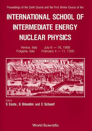 Intermediate Energy Nuclear Physics - 6th Summer Course & 1st Winter Course of the International School de C. Schaerf