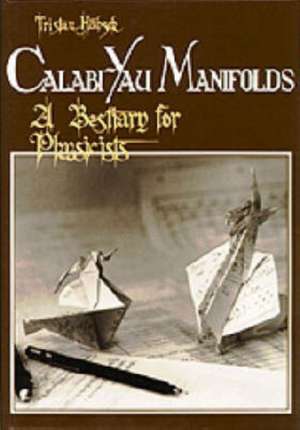 Calabi-Yau Manifolds: A Bestiary for Physicists de T. Hubsch