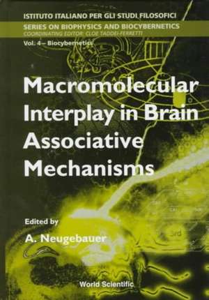 Macromolecular Interplay in Brain Associative Mechanisms de Anna Neugebauer