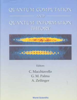 Quantum Computation and Quantum Information Theory, Collected Papers and Notes de C. Macchi