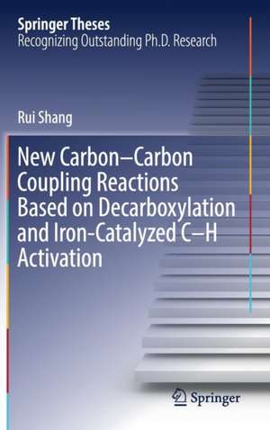 New Carbon–Carbon Coupling Reactions Based on Decarboxylation and Iron-Catalyzed C–H Activation de Rui Shang