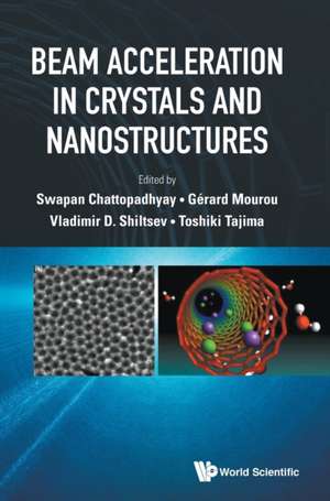 Beam Acceleration in Crystals and Nanostructures - Proceedings of the Workshop de Swapan Chattopadhyay