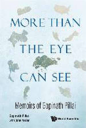 More Than the Eye Can See: Memoirs of Gopinath Pillai de Gopinath Pillai