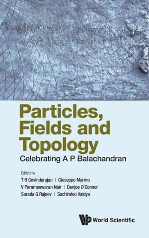 PARTICLES, FIELDS AND TOPOLOGY de Giuseppe Marmo V Para T R Govindarajan