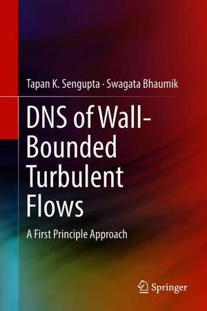 DNS of Wall-Bounded Turbulent Flows: A First Principle Approach de Tapan K. Sengupta