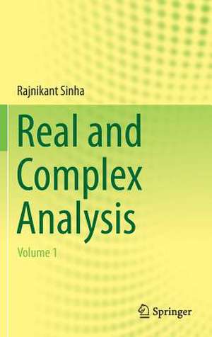 Real and Complex Analysis: Volume 1 de Rajnikant Sinha