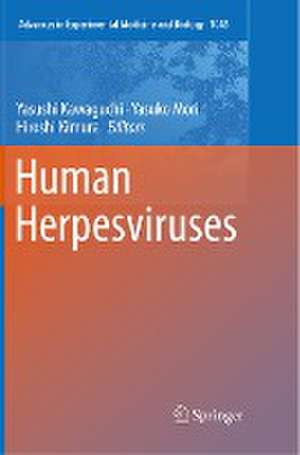 Human Herpesviruses de Yasushi Kawaguchi