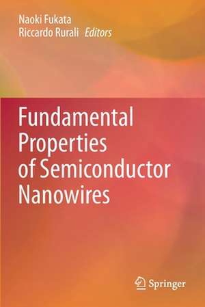 Fundamental Properties of Semiconductor Nanowires de Naoki Fukata