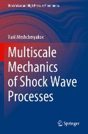 Multiscale Mechanics of Shock Wave Processes de Yurii Meshcheryakov