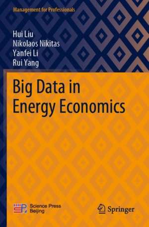 Big Data in Energy Economics de Hui Liu