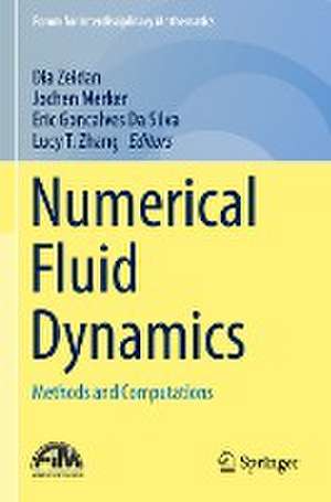 Numerical Fluid Dynamics: Methods and Computations de Dia Zeidan