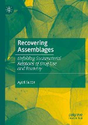 Recovering Assemblages: Unfolding Sociomaterial Relations of Drug Use and Recovery de Aysel Sultan