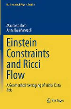 Einstein Constraints and Ricci Flow: A Geometrical Averaging of Initial Data Sets de Mauro Carfora