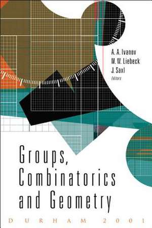 Groups, Combinatorics and Geometry de Alexander Anatolievich Ivanov