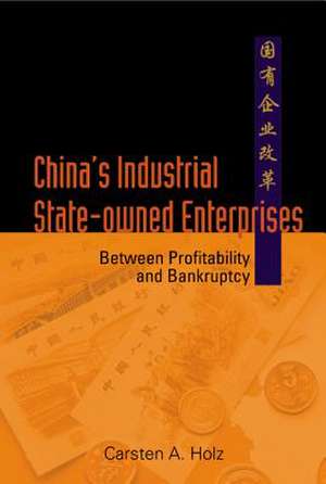 China's Industrial State-Owned Enterprises: Between Profitability and Bankruptcy de Carsten A. Holz