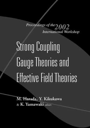 Strong Coupling Gauge Theories and Effective Field Theories, Proceedings of the 2002 International Workshop de Y. Kikukawa