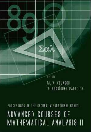 Advanced Courses of Mathematical Analysis 2: Proceedings of the 2nd International School Granada, Spain 20 - 24 September 2004 de M. V. Velasco