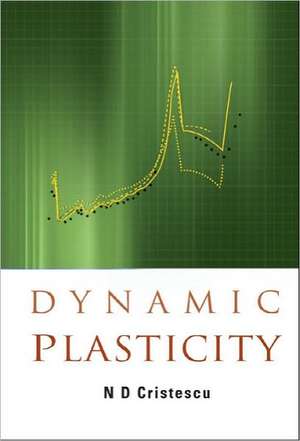 Dynamic Plasticity de N. D. Cristescu