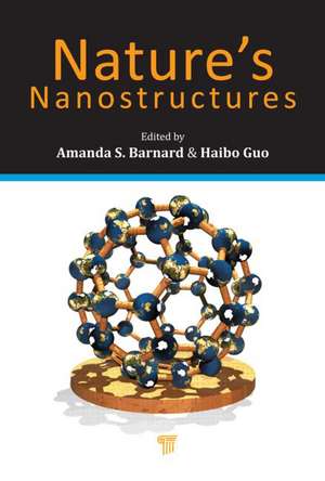 Nature's Nanostructures de Amanda S. Barnard