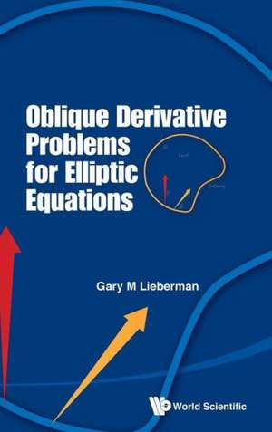 Oblique Derivative Problems for Elliptic Equations de Gary M. Lieberman