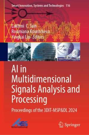 AI in Multidimensional Signals Analysis and Processing de Lakhmi C Jain