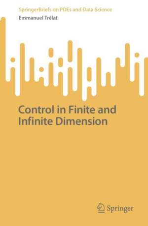 Control in Finite and Infinite Dimension de Emmanuel Trélat