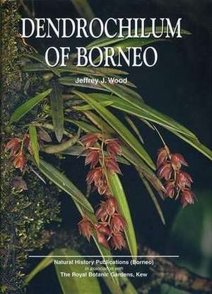 Dendrochilum of Borneo de J J Wood