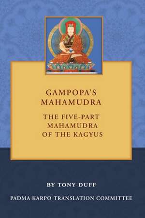 Gampopa's Mahamudra de Tony Duff