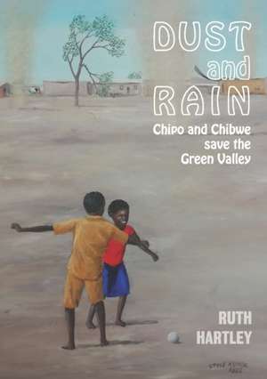 Dust and Rain de Ruth Hartley