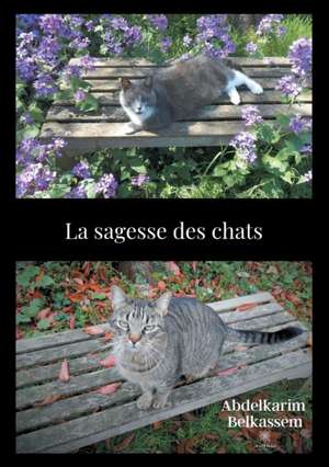 La sagesse des chats de Abdelkarim Belkassem