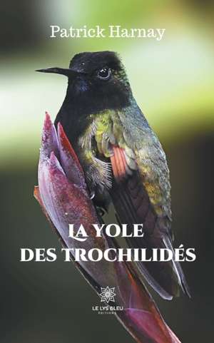 La yole des trochilidés de Patrick Harnay