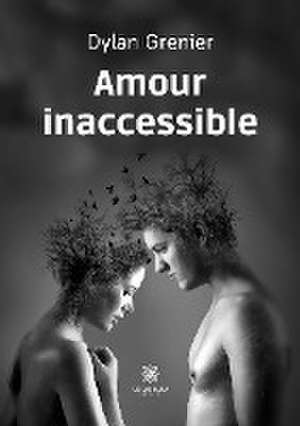 Amour inaccessible de Dylan Grenier