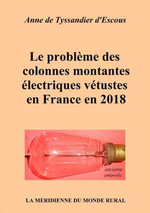 Le problème des colonnes montantes électriques vétustes en France en 2018 de Anne De Tyssandier D'Escous