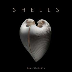 Shells de Paolo Portoghesi