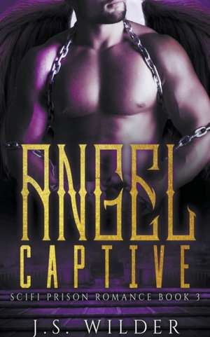 Angel Captive de J. S. Wilder