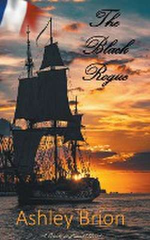 The Black Rogue de Ashley Bríon
