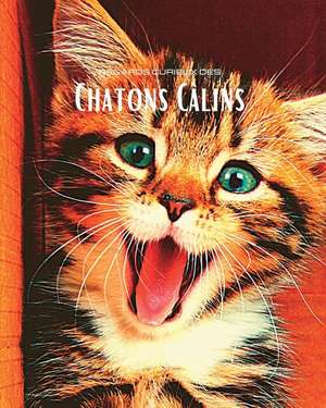 Regards curieux des Chatons Câlins de Hayden Clayderson