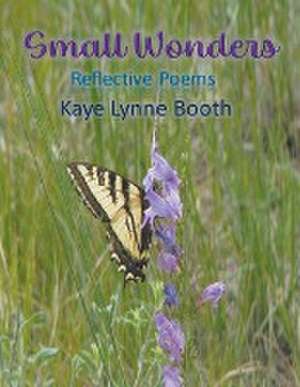 Small Wonders de Kaye Lynne Booth