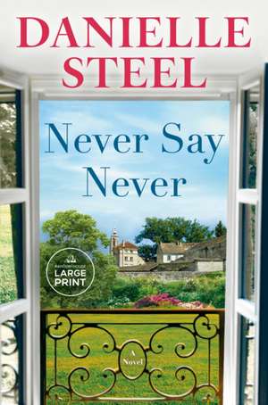 Never Say Never de Danielle Steel