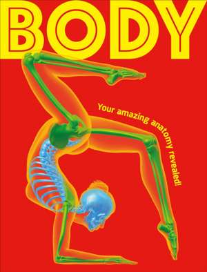 Body de Dk