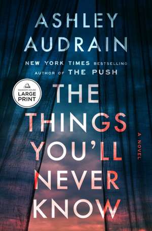 The Things You'll Never Know de Ashley Audrain