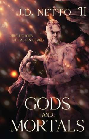 The Echoes of Fallen Stars de J. D. Netto