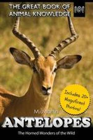 Antelopes de M. Martin