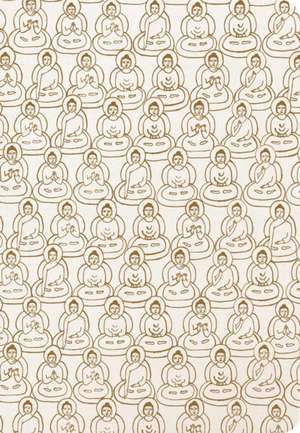 Meditation de Insight Editions