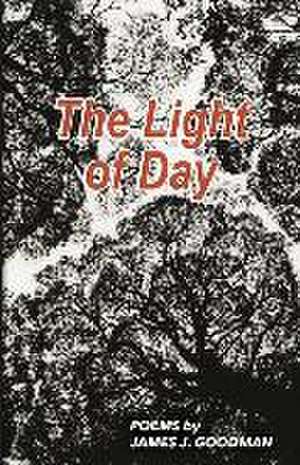 The Light of Day de James J Goodman