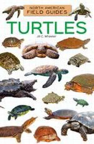 Turtles de Jill C Wheeler