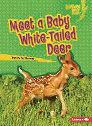 Meet a Baby White-Tailed Deer de Tamika M Murray