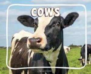 Cows de Lisa J. Amstutz