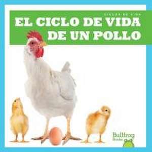 El Ciclo de Vida de Un Pollo (a Chicken's Life Cycle) de Jamie Rice