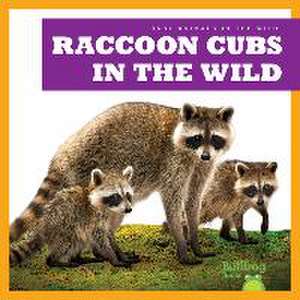 Raccoon Cubs in the Wild de Katie Chanez